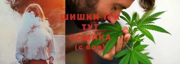 сатива Беломорск