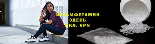сатива Беломорск
