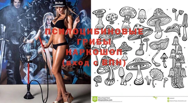 первитин Богданович