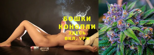 первитин Богданович