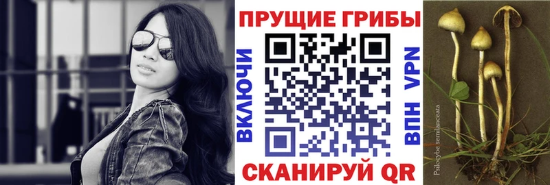 Галлюциногенные грибы MAGIC MUSHROOMS ОМГ ОМГ ссылки Белорецк